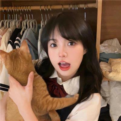 狐狸与猎狗